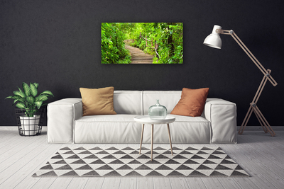 Canvas print Stairs nature brown green