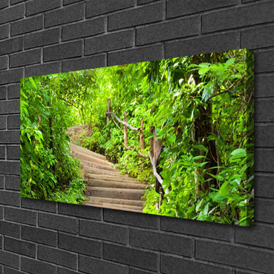 Canvas print Stairs nature brown green