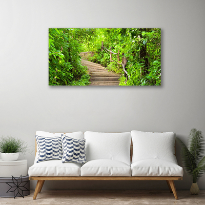 Canvas print Stairs nature brown green