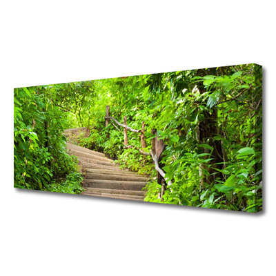 Canvas print Stairs nature brown green