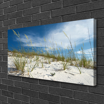 Canvas print Beach landscape brown green