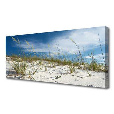 Canvas print Beach landscape brown green