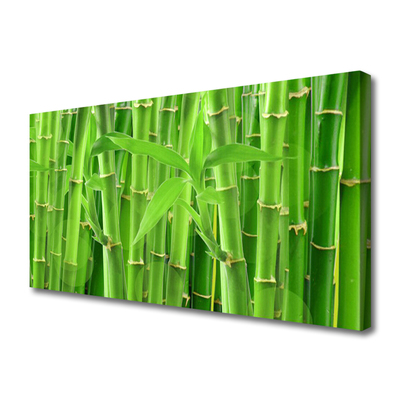 Canvas print Bamboo stalk floral green