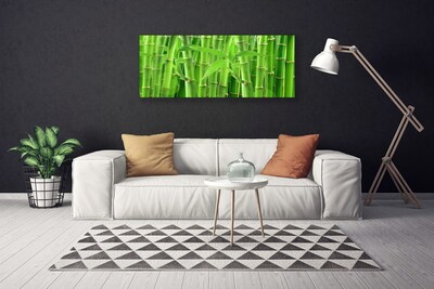 Canvas print Bamboo stalk floral green