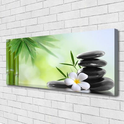 Canvas print Bamboo stalk flower stones art green white black