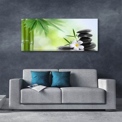 Canvas print Bamboo stalk flower stones art green white black