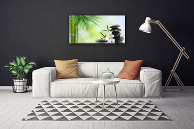 Canvas print Bamboo stalk flower stones art green white black