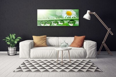 Canvas print Dew leaf daisies nature green white yellow