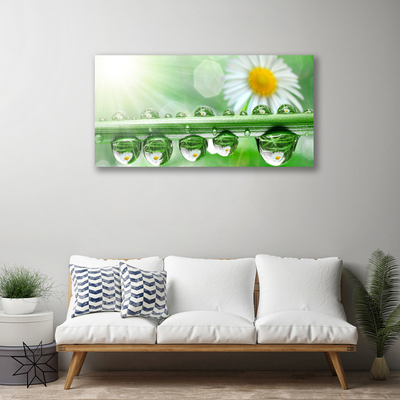 Canvas print Dew leaf daisies nature green white yellow