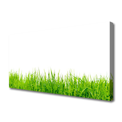 Canvas print Grass nature green