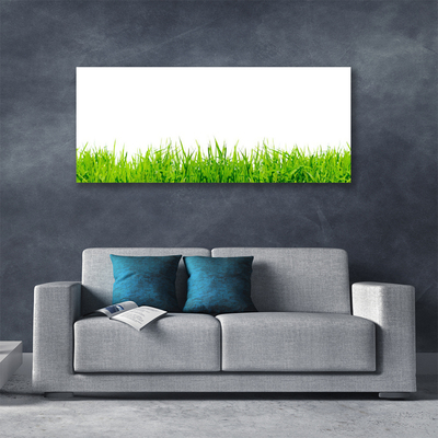 Canvas print Grass nature green