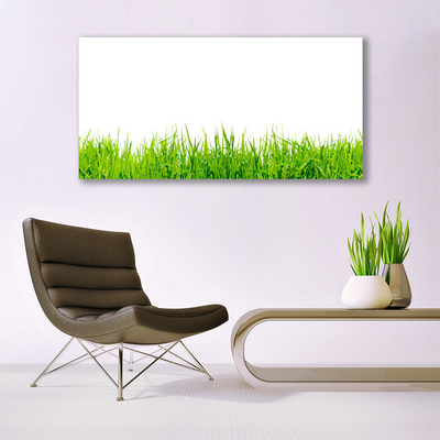 Canvas print Grass nature green