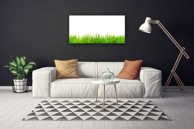 Canvas print Grass nature green