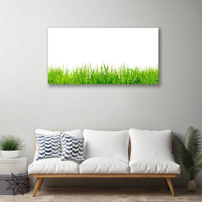 Canvas print Grass nature green