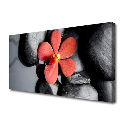 Canvas print Flower stones art red grey