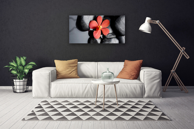 Canvas print Flower stones art red grey