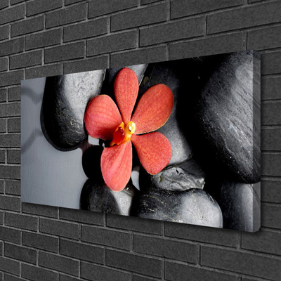 Canvas print Flower stones art red grey