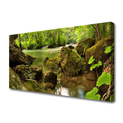 Canvas print Rock lake nature green