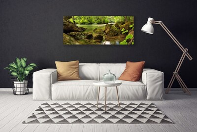 Canvas print Rock lake nature green