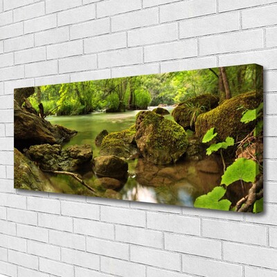 Canvas print Rock lake nature green