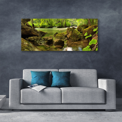 Canvas print Rock lake nature green