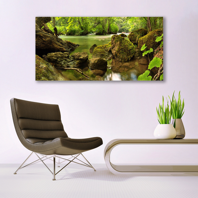 Canvas print Rock lake nature green