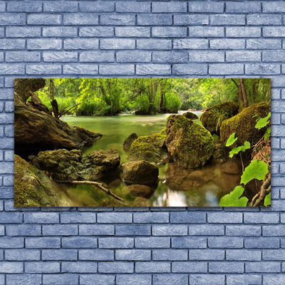 Canvas print Rock lake nature green