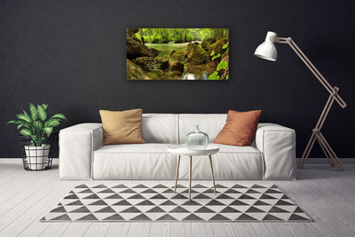 Canvas print Rock lake nature green