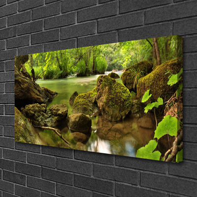 Canvas print Rock lake nature green