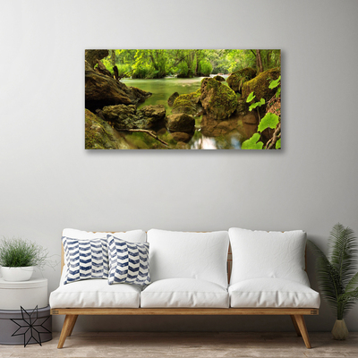 Canvas print Rock lake nature green