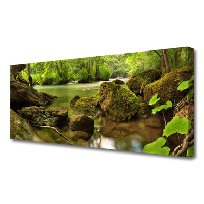 Canvas print Rock lake nature green