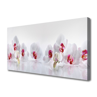 Canvas print Flowers floral white red