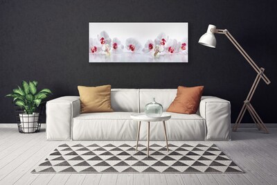 Canvas print Flowers floral white red