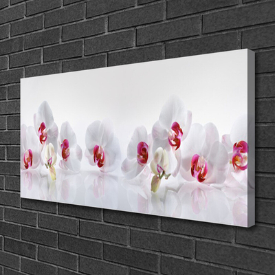 Canvas print Flowers floral white red