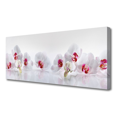 Canvas print Flowers floral white red