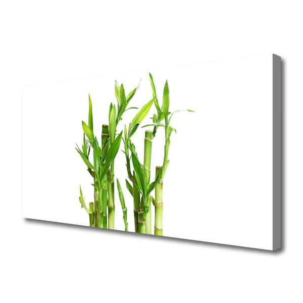 Canvas print Bamboo stalks floral green