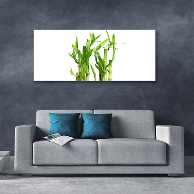 Canvas print Bamboo stalks floral green