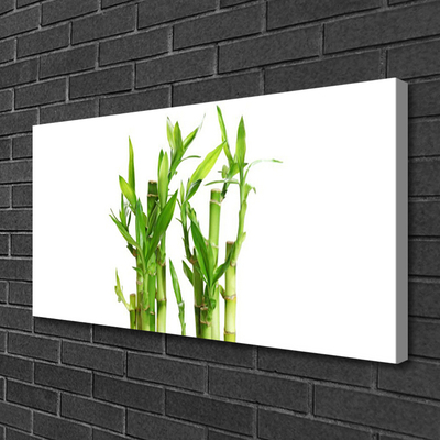 Canvas print Bamboo stalks floral green