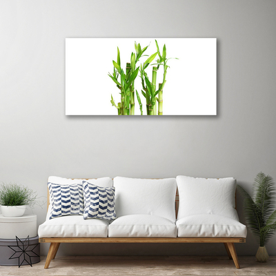 Canvas print Bamboo stalks floral green