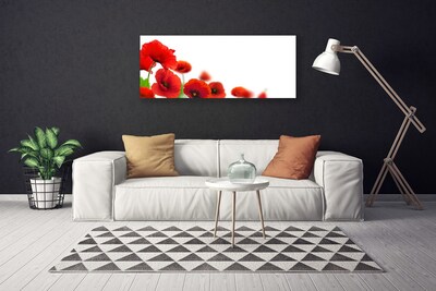 Canvas print Poppies floral red black green