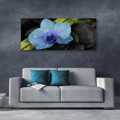 Canvas print Flower stones floral purple black