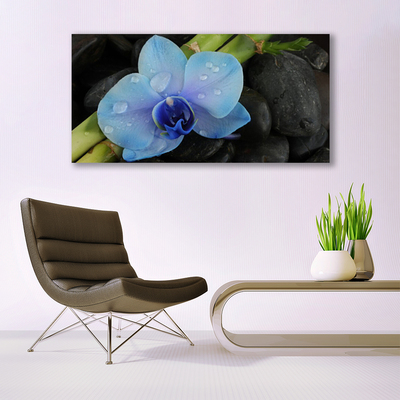 Canvas print Flower stones floral purple black