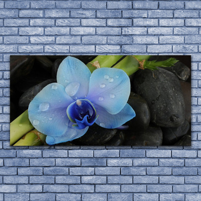 Canvas print Flower stones floral purple black