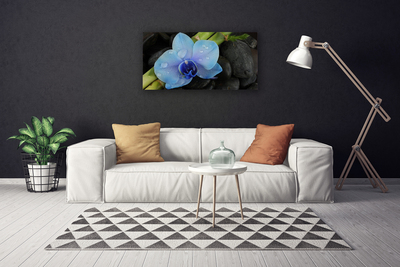 Canvas print Flower stones floral purple black