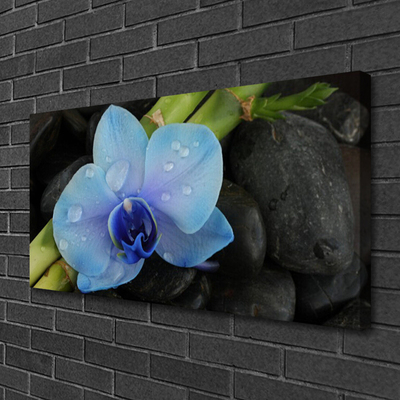 Canvas print Flower stones floral purple black