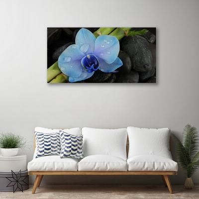 Canvas print Flower stones floral purple black