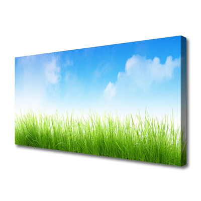 Canvas print Grass nature green