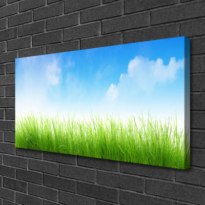 Canvas print Grass nature green