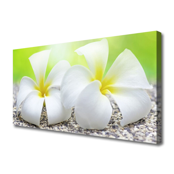 Canvas print Flowers floral white