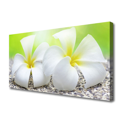 Canvas print Flowers floral white